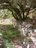 Camino Viejo a Montgai