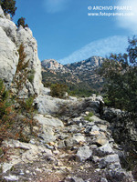 Camino viejo a L'Estall con el Montsec de Aragón al fondo