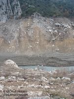 Pilastras del Puente Viejo de Montfalcó