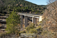 Puente de Penavera