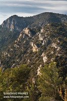 Paisaje del Serrat de Montalt entre L'Estall y Montfalcó